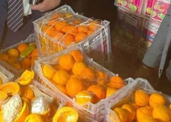 لبنان.. ضبط 9 ملايين حبة “كبتاغون” داخل شحنة فواكه