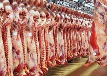 مسؤول بحكومة النظام يتوقع ارتفاع أسعار اللحوم