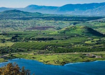 مرتفعات الجولان المحتل