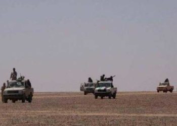 تنظيم الدولة البادية السورية