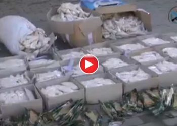 نيويورك تايمز: نظام الأسد يشرف على تصنيع وتصدير المخدرات