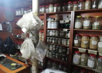 حمص.. الأعشاب الطبية مقصد المرضى الهاربين من أسعار الأدوية المرتفعة