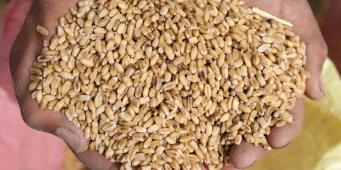 عناصر من “الفرقة الرابعة” يسرقون مخصصات الأهالي من المساعدات في ريف دمشق