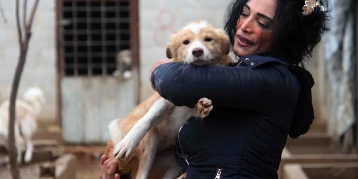 إغلاق ملجأ “SARA” لتربية الحيوانات في دمشق