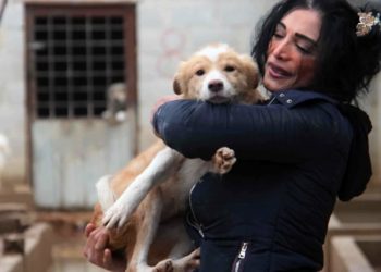 إغلاق ملجأ “SARA” لتربية الحيوانات في دمشق