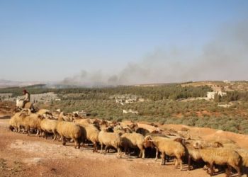 قتيل وجرحى من رعاة الأغنام بقصف للميليشيات الإيرانية بريف حمص