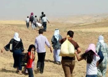 نزوح 300 عائلة من تدمر شرق حمص