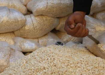 “الأمن العام” في إدلب يعلن ضبط شحنة مخدرات عند معبر “دارة عزة” بريف حلب