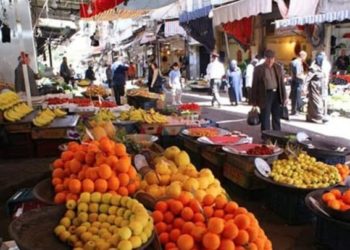 مسؤول بحكومة النظام يبرر ارتفاع أسعار الخضروات والفواكه بموجة الصقيع