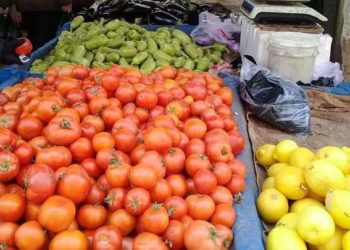 حلب.. ارتفاع أسعار الخضروات بشكل كبير وحكومة النظام تبرر