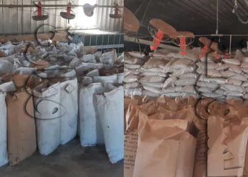 مصادرة عشرات الأطنان من الشاي “منتهي الصلاحية” في ريف دمشق.. ومسؤول محلي: قريباً سنراها في صالات السورية للتجارة