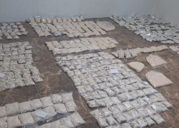 قادمة من سوريا.. الأردن يحبط محاولة تهريب مخدرات وأسلحة وذخيرة