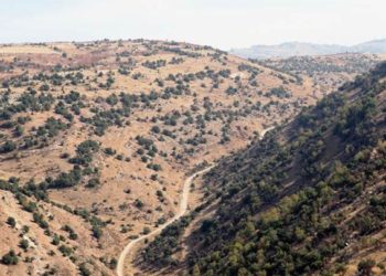 مقتل ثلاثة سوريين على الحدود مع لبنان