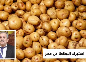 حكومة النظام توافق على استيراد البطاطا من مصر للمرة الثانية خلال أقل من شهرين