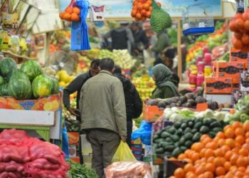 مسؤول حكومي يتوقع انخفاض أسعار الخضروات والفواكه بنسبة 20 بالمئة