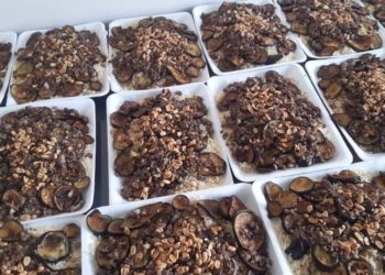 النظام يوجّه الحملات الإغاثية لصالح عناصره وذوي قتلاه في ريف دمشق