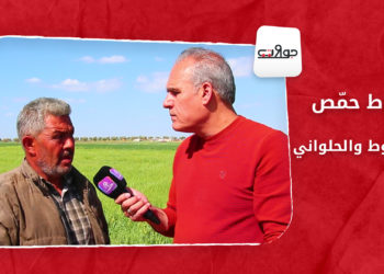 جولات: طاط حمّص.. الأرناؤوط والحلواني.