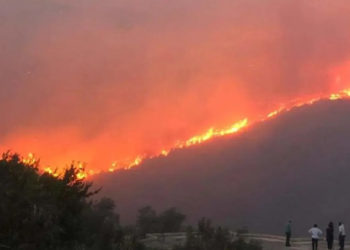 منصة الغابات ومراقبة الحرائق التابعة للنظام تحذر من وجود مؤشرات لاندلاع حرائق مبكرة في سوريا خلال العام الجاري