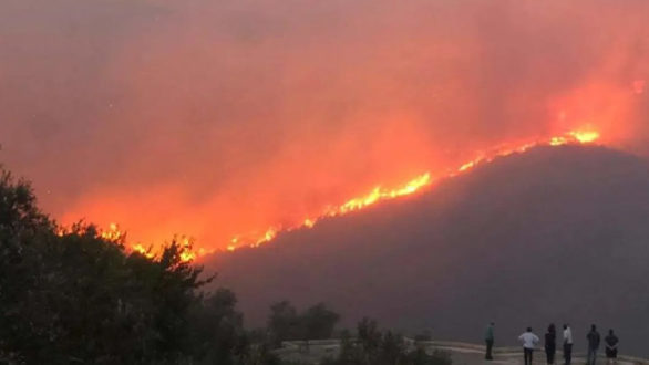 منصة الغابات ومراقبة الحرائق التابعة للنظام تحذر من وجود مؤشرات لاندلاع حرائق مبكرة في سوريا خلال العام الجاري