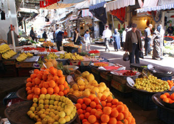 رئيس اتحاد الفلاحين بحكومة النظام "أحمد صالح إبراهيم" يعلن ارتفاع تكاليف إنتاج الخضار بنسبة بين 60 و70% عن العام الماضي 2021