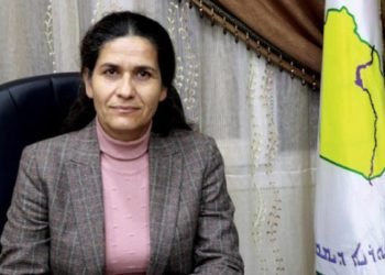 “مسد”: الهوية السورية الحالية لا تمثل كافة السوريين