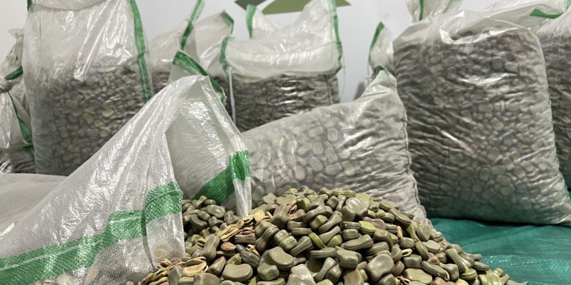 إحباط عملية تهريب “حبوب مخدرة” في السعودية