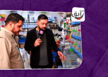 خليك رايق – عصافير الكنار تغريد رائع و لون جذاب