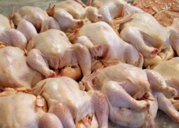 أسعار الفروج في النشرة التموينية الصادرة عن حكومة النظام تشكل خسارة للمربين في مناطق النظام