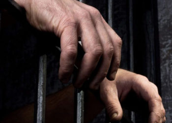 "الشبكة السورية لحقوق الإنسان" توثق ما لا يقل عن 419 معتقلاً أفرج عنهم النظام من مختلف السجون المدنية والعسكرية