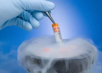 تجميد البويضات وبيعها.. تجارة رائجة في مناطق النظام