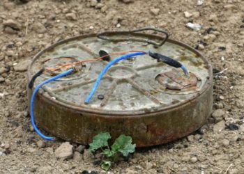 عبوة ناسفة تودي بحياة عنصر من قوات النظام في ريف دمشق (صورة)