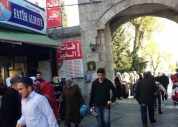 الكشف عن أعداد السوريين المولودين والمجنسين في تركيا