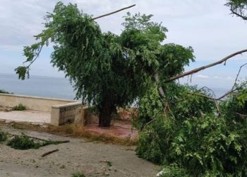 تسجيل نحو 1100 عطل كهربائي إثر العاصفة الهوائية في اللاذقية