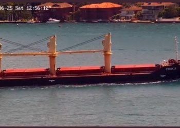 نظام اﻷسد “يعفّش” القمح والبضائع من أوكرانيا