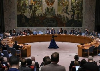 باستثناء روسيا والصين.. أعضاء مجلس الأمن يطالبون بتمديد المساعدات من تركيا إلى سوريا