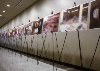 عدد الضحايا المدنيين في سوريا