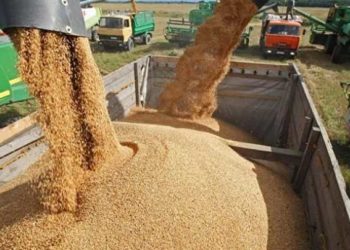 روسيا أوكرانيا قمح