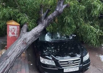 زراعة النظام تقول إنها ستعوض المزارعين المتضررين جراء العاصفة المطرية الأخيرة التي ضربت اللاذقية بملغ وقدره 2 مليار و616 مليون ليرة سورية