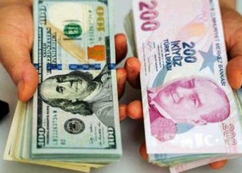 الليرة التركية الدولار