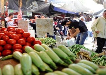 مناطق النظام