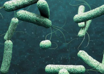 منظمة "كير" الدولية الإنسانية العاملة في سوريا تُحذر من مخاطر تفشي وباء "الكوليرا" في سوريا وتؤكد أن حوالي 70% من السكان في شمال شرقي سوريا يعتمدون على مصادر المياه غير الآمنة