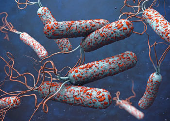 مكتب تنسيق الشؤون الإنسانية "أوتشا" التابع للأمم المتحدة يقول إن مصدر عدوى "الكوليرا" في سوريا مرتبط بشرب مياه غير آمنة من نهرب الفرات ويدعو إلى احتواء تفشي الوباء