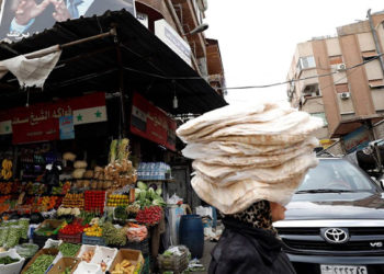حماية المستهلك في مناطق النظام