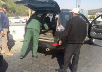 جمارك النظام تسرق