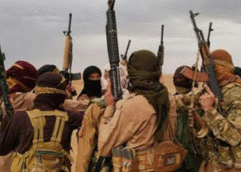 تنظيم الدولة شمال شرق سوريا