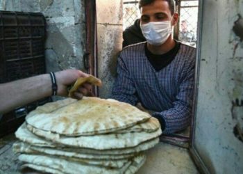 الخبز تفل التفاح سوريا