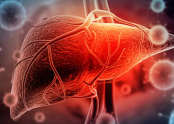 تركيا اللاجئون السوريون التهاب الكبد A