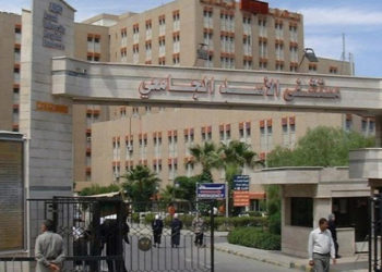 الكوليرا مناطق النظام دمشق