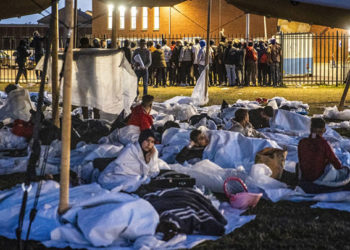 هولندا محكمة لاهاي طالبي اللجوء