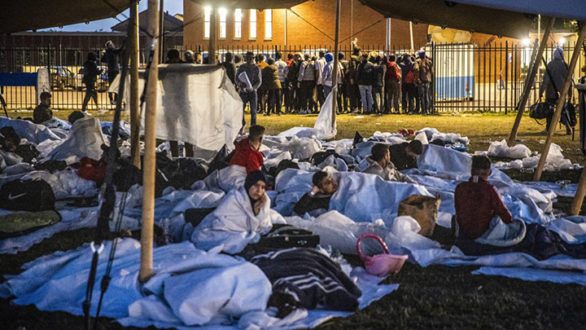 هولندا محكمة لاهاي طالبي اللجوء